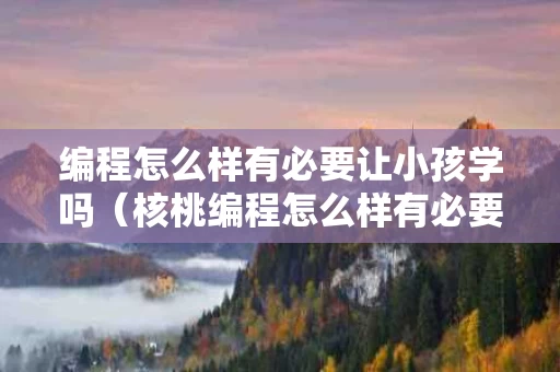 编程怎么样有必要让小孩学吗（核桃编程怎么样有必要让小孩学吗）