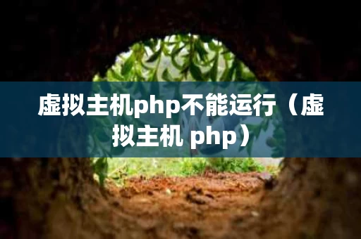 虚拟主机php不能运行（虚拟主机 php）