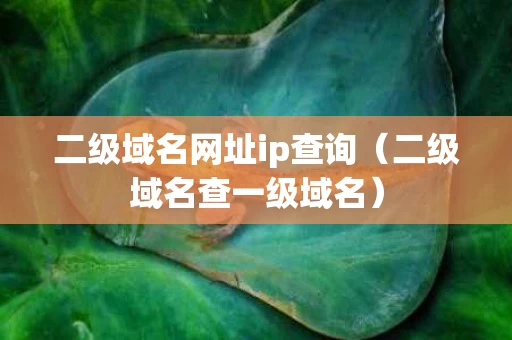 二级域名网址ip查询（二级域名查一级域名）