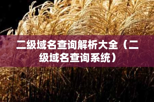 二级域名查询解析大全（二级域名查询系统）