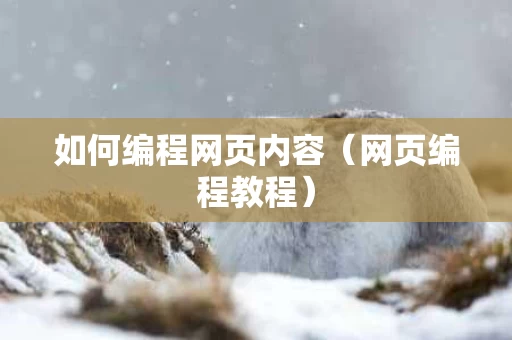 如何编程网页内容（网页编程教程）