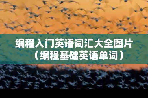 编程入门英语词汇大全图片（编程基础英语单词）