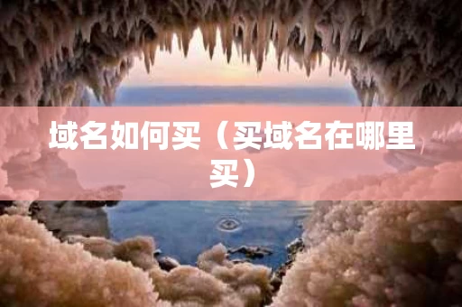 域名如何买（买域名在哪里买）