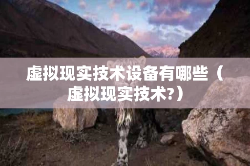 虚拟现实技术设备有哪些（虚拟现实技术?）