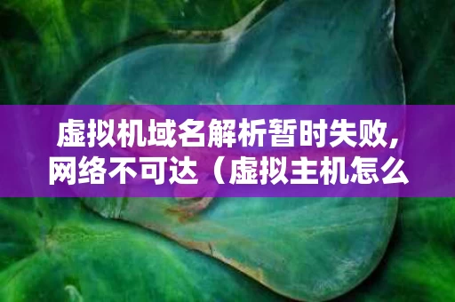 虚拟机域名解析暂时失败,网络不可达（虚拟主机怎么解析域名）