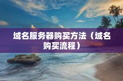域名服务器购买方法（域名购买流程）