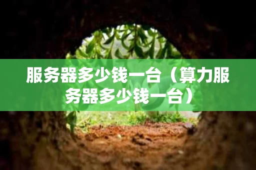 服务器多少钱一台（算力服务器多少钱一台）