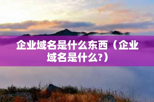 企业域名是什么东西（企业域名是什么?）