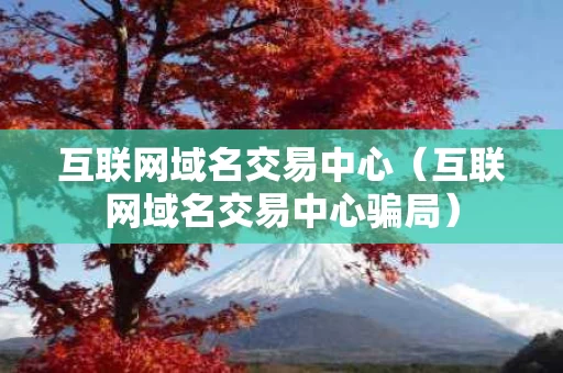 互联网域名交易中心（互联网域名交易中心骗局）