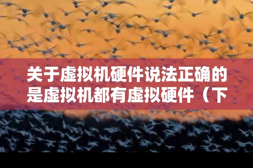 关于虚拟机硬件说法正确的是虚拟机都有虚拟硬件（下列关于虚拟机快照的说法中哪一项是正确的）