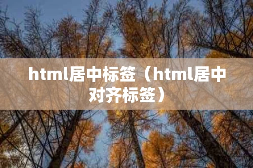 html居中标签（html居中对齐标签）