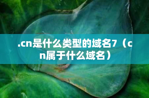 .cn是什么类型的域名7（cn属于什么域名）