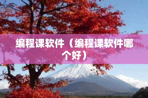 编程课软件（编程课软件哪个好）