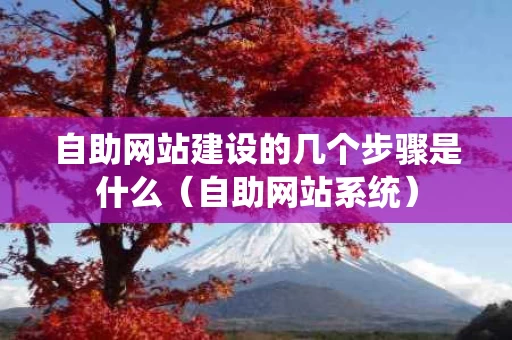 自助网站建设的几个步骤是什么（自助网站系统）