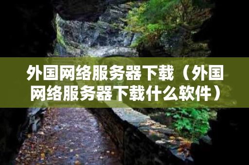 外国网络服务器下载（外国网络服务器下载什么软件）