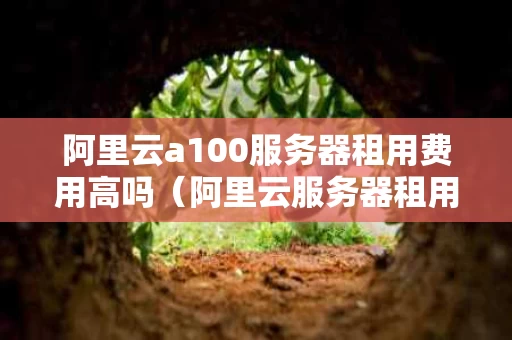 阿里云a100服务器租用费用高吗（阿里云服务器租用多少钱一年）