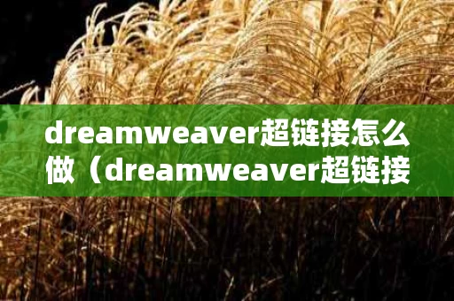 dreamweaver超链接怎么做（dreamweaver超链接怎么设置）