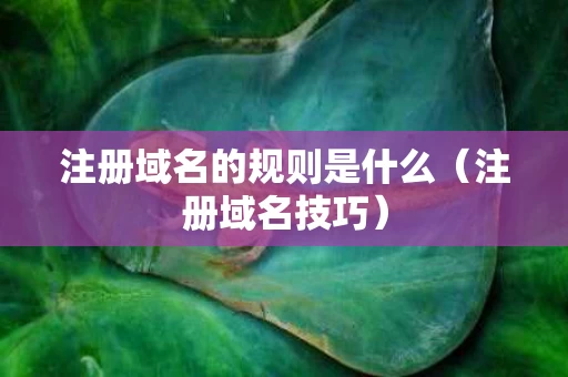 注册域名的规则是什么（注册域名技巧）