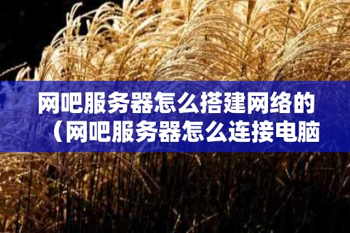 网吧服务器怎么搭建网络的（网吧服务器怎么连接电脑）