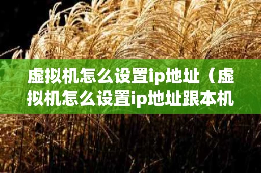 虚拟机怎么设置ip地址（虚拟机怎么设置ip地址跟本机一样）
