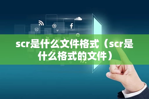 scr是什么文件格式（scr是什么格式的文件）