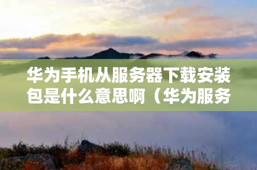 华为手机从服务器下载安装包是什么意思啊（华为服务器下载安装到手机）