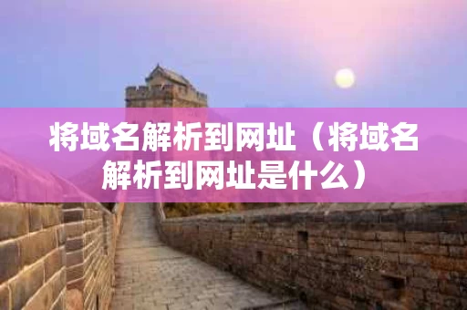 将域名解析到网址（将域名解析到网址是什么）