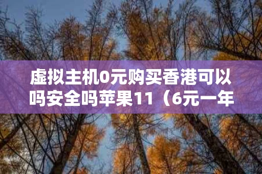 虚拟主机0元购买香港可以吗安全吗苹果11（6元一年的虚拟主机）