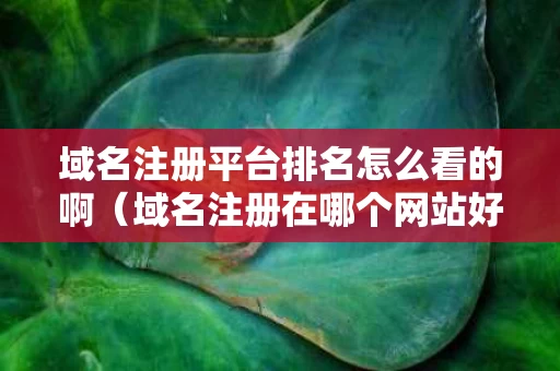 域名注册平台排名怎么看的啊（域名注册在哪个网站好）