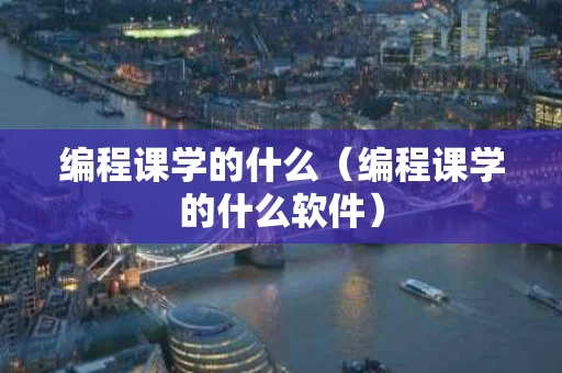 编程课学的什么（编程课学的什么软件）