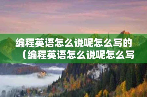 编程英语怎么说呢怎么写的（编程英语怎么说呢怎么写的单词）
