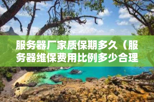 服务器厂家质保期多久（服务器维保费用比例多少合理）