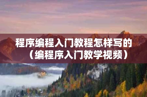 程序编程入门教程怎样写的（编程序入门教学视频）