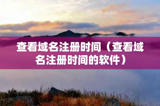 查看域名注册时间（查看域名注册时间的软件）