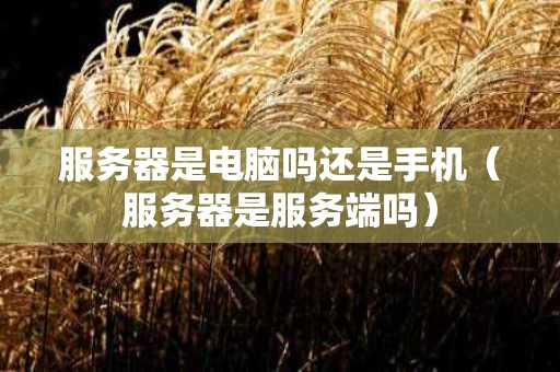 服务器是电脑吗还是手机（服务器是服务端吗）