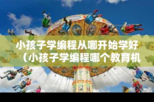 小孩子学编程从哪开始学好（小孩子学编程哪个教育机构好）