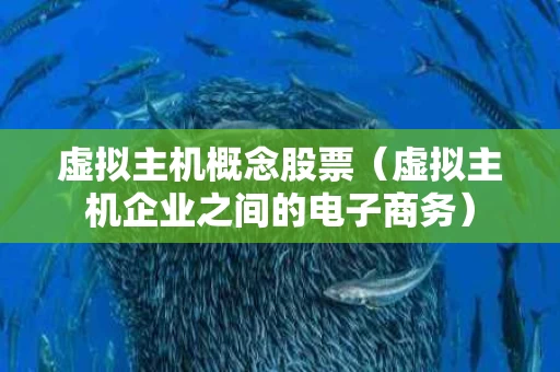 虚拟主机概念股票（虚拟主机企业之间的电子商务）