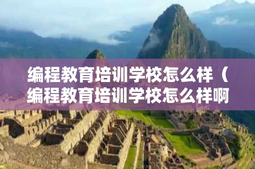 编程教育培训学校怎么样（编程教育培训学校怎么样啊）