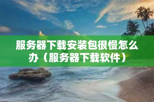 服务器下载安装包很慢怎么办（服务器下载软件）