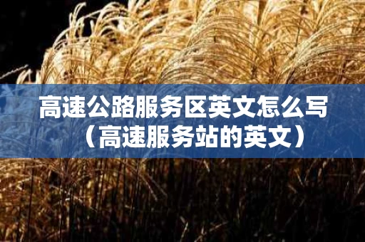 高速公路服务区英文怎么写（高速服务站的英文）