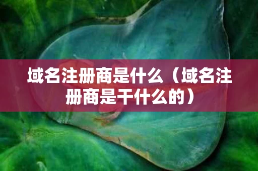 域名注册商是什么（域名注册商是干什么的）