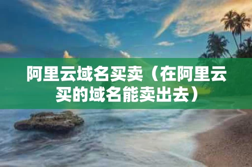 阿里云域名买卖（在阿里云买的域名能卖出去）