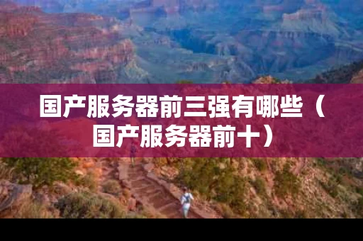 国产服务器前三强有哪些（国产服务器前十）