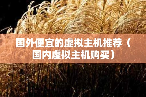 国外便宜的虚拟主机推荐（国内虚拟主机购买）