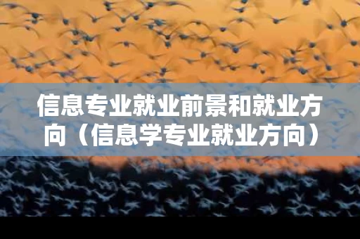 信息专业就业前景和就业方向（信息学专业就业方向）