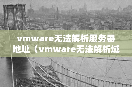 vmware无法解析服务器地址（vmware无法解析域名）