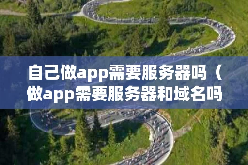 自己做app需要服务器吗（做app需要服务器和域名吗）