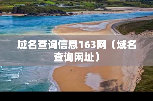 域名查询信息163网（域名查询网址）