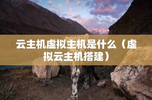云主机虚拟主机是什么（虚拟云主机搭建）