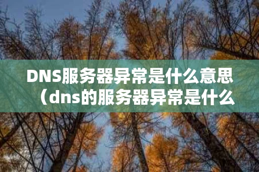 DNS服务器异常是什么意思（dns的服务器异常是什么意思）